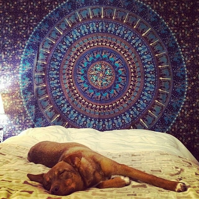 Truesellershop Ombre Mandala Tapestry Queen Size Indian Gold Tapestries Wall Art Hippie Wall Hanging Bohemian Bedspread Gold Beach Tapestry Christmas Gift